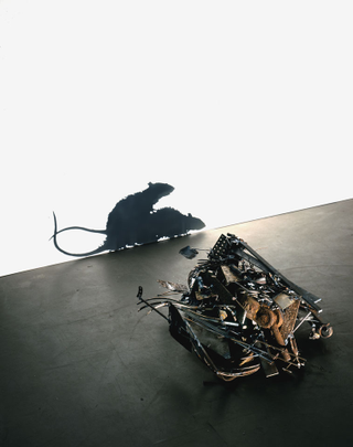 Illustration for article titled Gruesome shadow art transforms garbage and mummified rats into severed heads